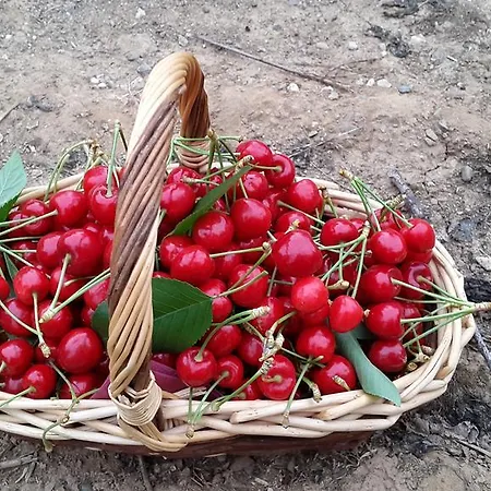 Campastrello Sport 3* Castagneto Carducci