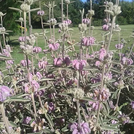 Campastrello Sport Ξενοδοχείο