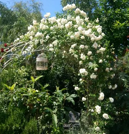 Ξενοδοχείο Campastrello Sport 3*