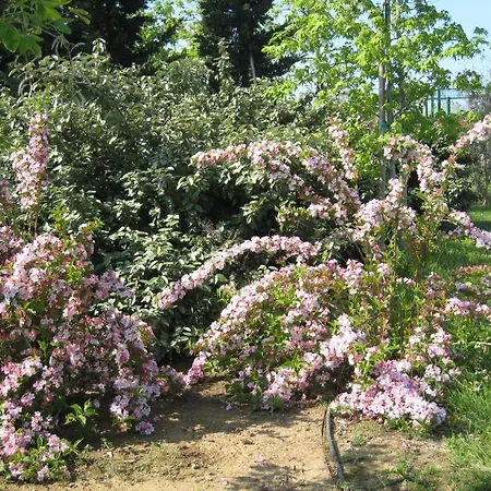 Ξενοδοχείο Campastrello Sport Castagneto Carducci