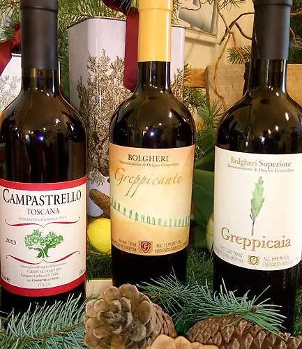 Campastrello Sport كاستاجنيتو كاردوتشي